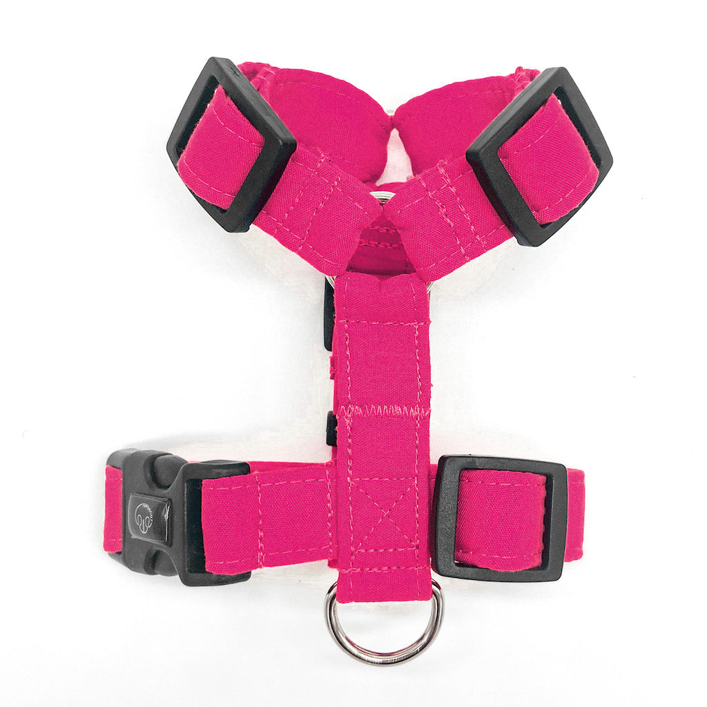 Basic - Fucsia - Arnes H Esencial