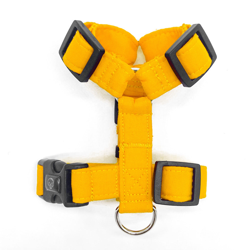 Basic - Amarillo - Arnes H Esencial