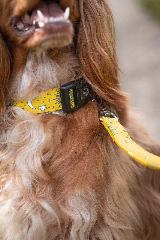 Golden Hour - Correa Clasica