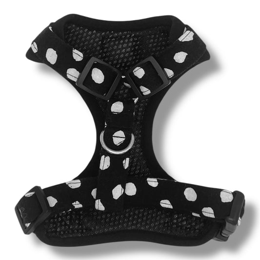 Perdita - Arnes ajustable