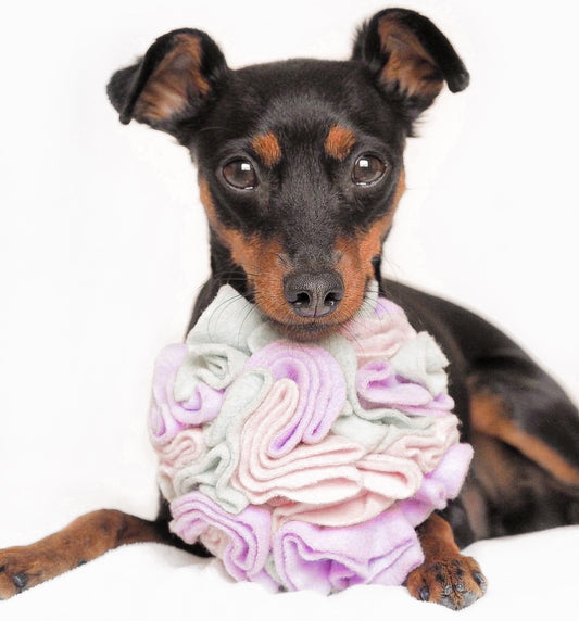 Snuffle Ball - Juego estimulador para perros