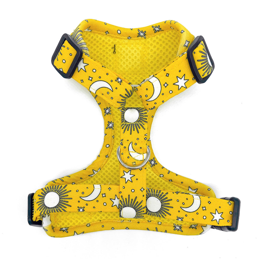 Golden Hour - Arnes ajustable