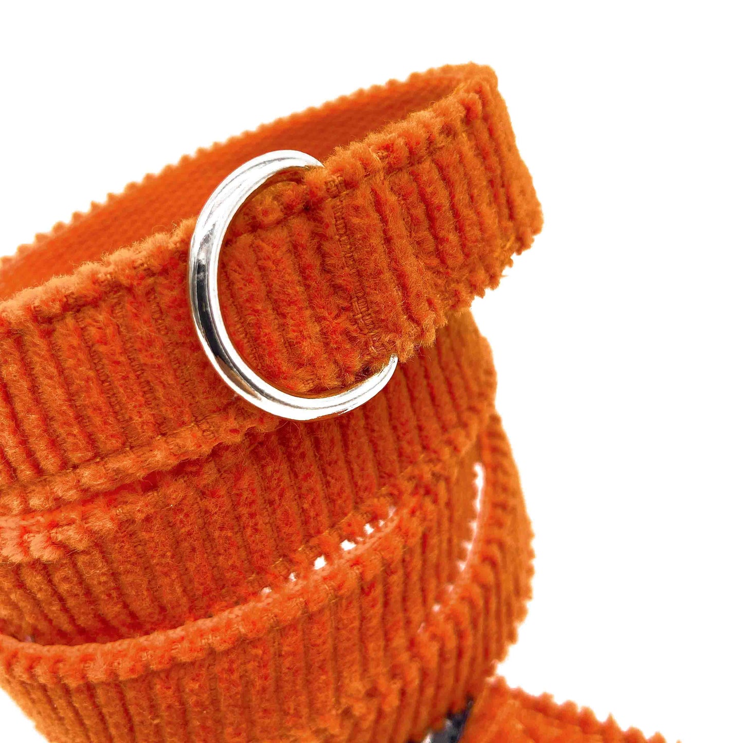 Pumpkin - Correa Clasica Esencial