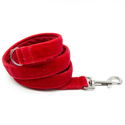 Terciopelo Lover - Correa Clasica