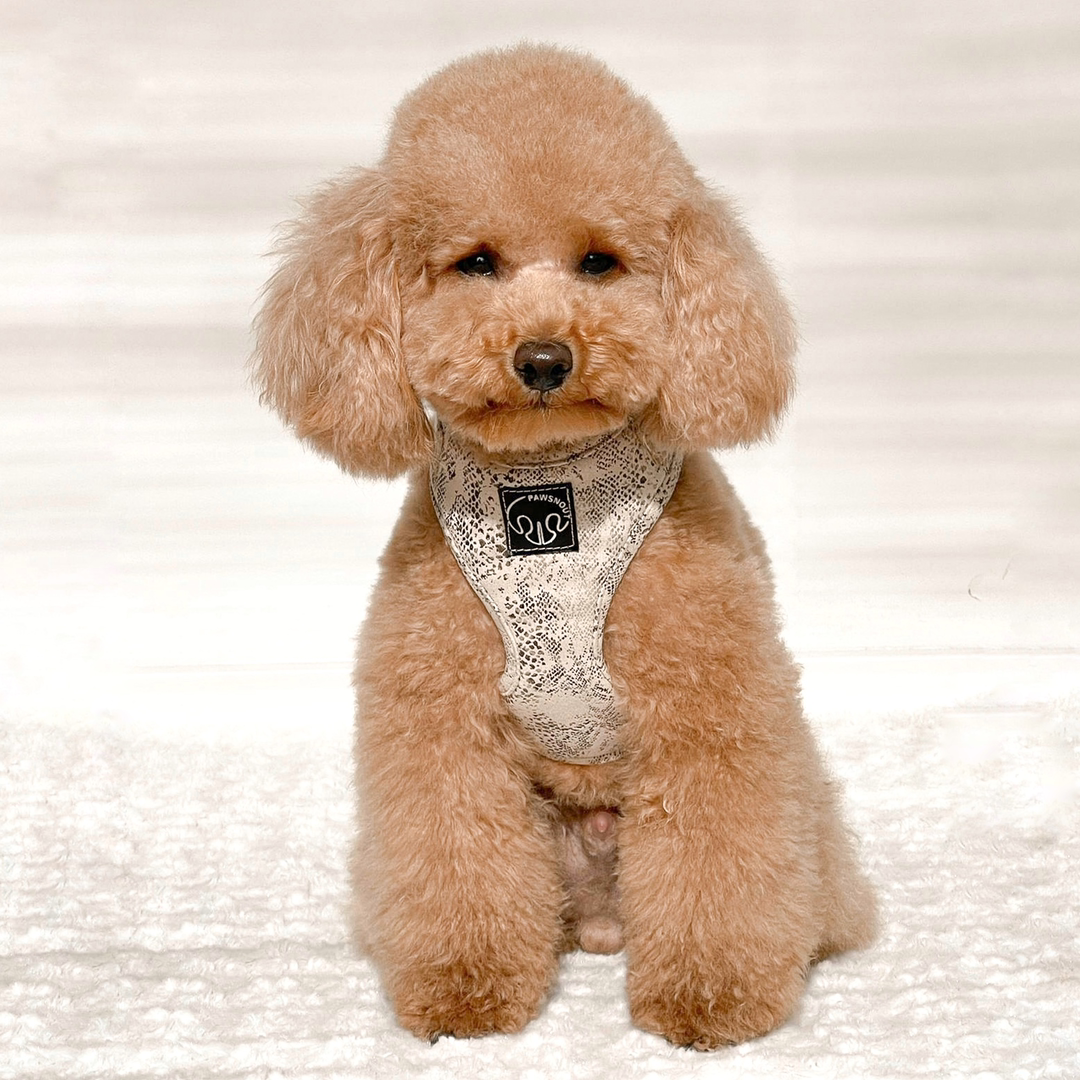 Cobra - Arnes ajustable - TALLA S