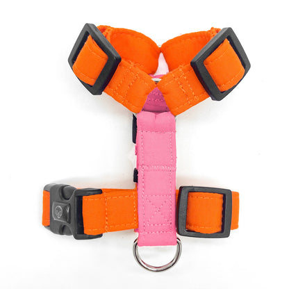 Basic - Personalizable - Arnes H Esencial