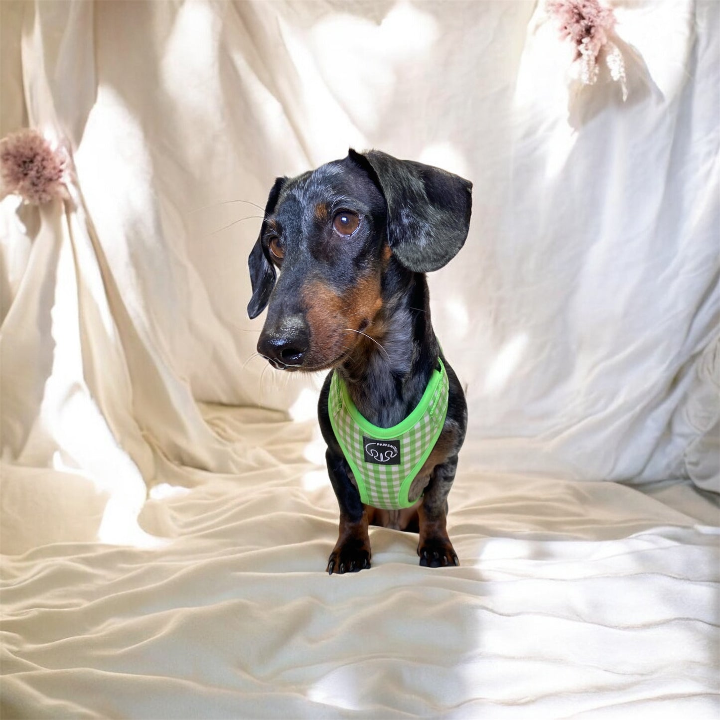 Greenic - Arnes ajustable