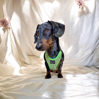 Greenic - Arnes ajustable