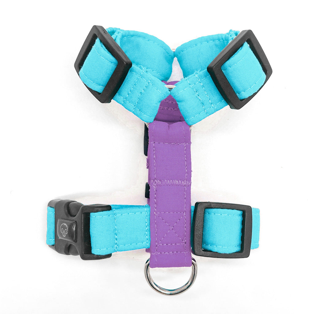 Basic - Personalizable - Arnes H Esencial