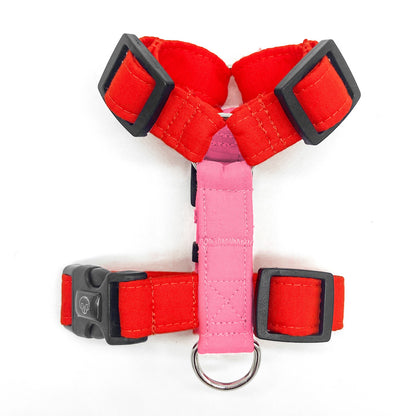 Basic - Personalizable - Arnes H Esencial