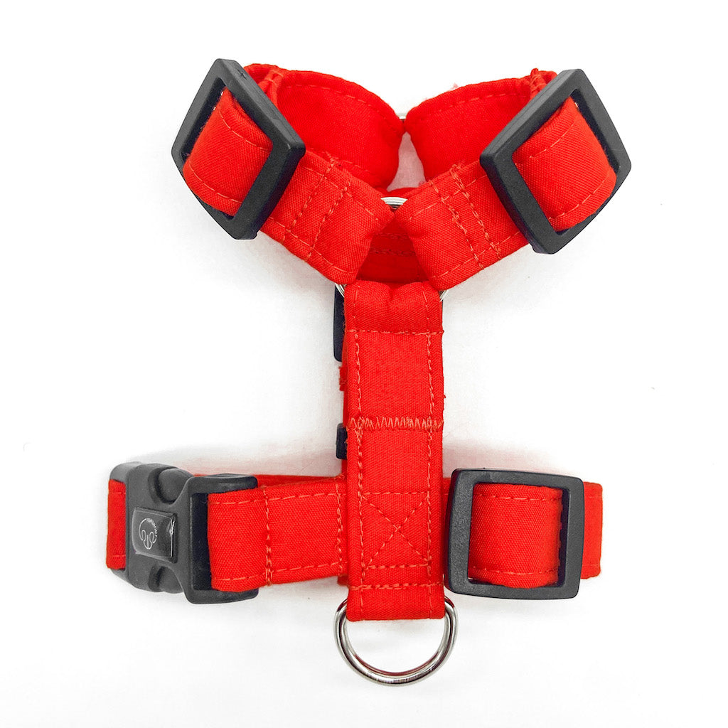 Basic - Rojo - Arnes H Esencial