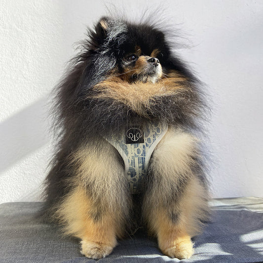 arnes-para-perros-upcycling-dior