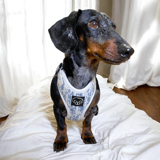 Diog upcycling- Arnes ajustable