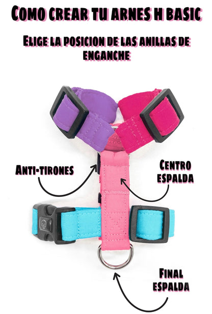 Basic - Personalizable - Arnes H Esencial