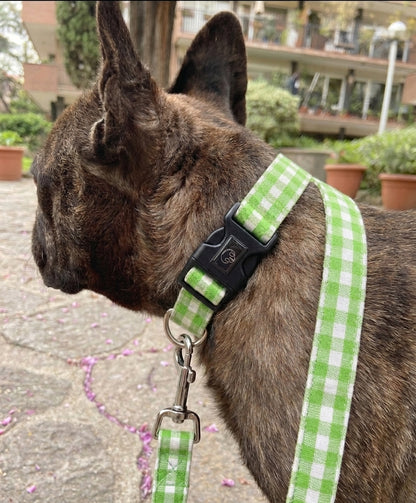 Greenic- Collar ajustable Esencial