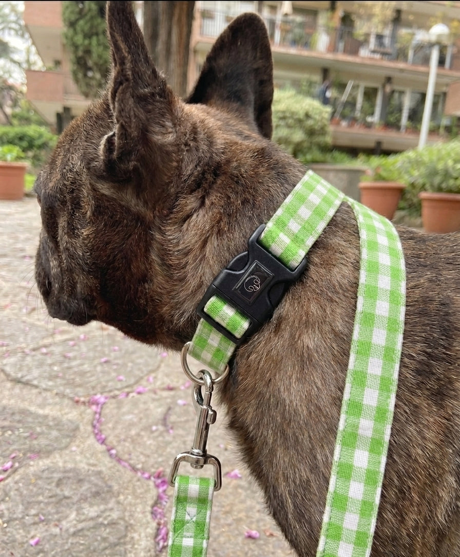 Greenic - Pack esencial