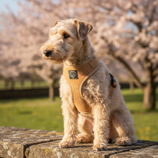 Wood - Arnes ajustable