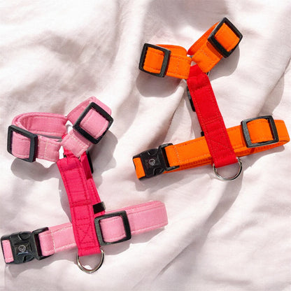 Basic - Personalizable - Arnes H Esencial
