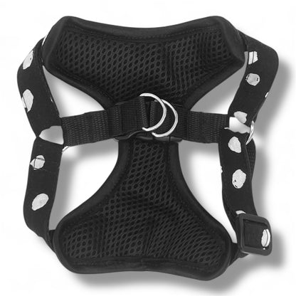 Perdita - Arnes Step in