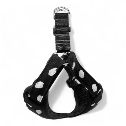 Perdita - Arnes Step in