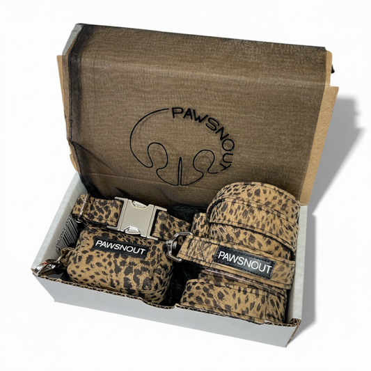 Cheetah - Pack premium