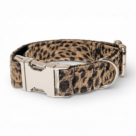 Cheetah - Pack premium