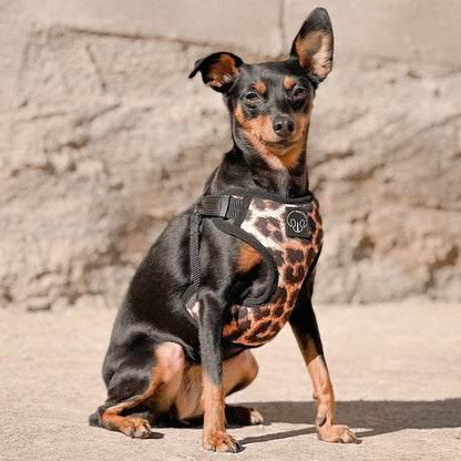 Wild Leopard - Arnes Step in Esencial