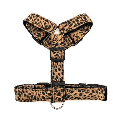 CHEETAH - Arnes H Premium