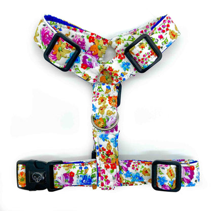 PawGarden - Arnes H Esencial - Talla S