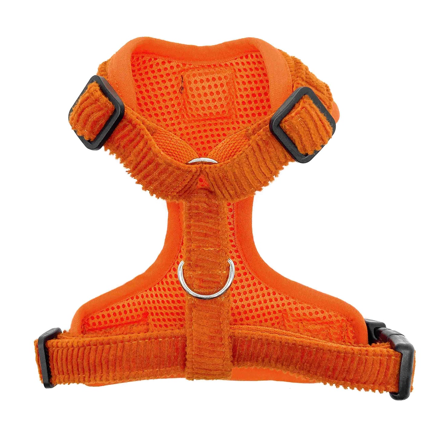 Pumpkin - Arnes ajustable Esencial