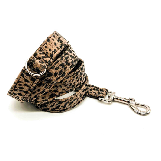 Cheetah - Correa Clasica Premium
