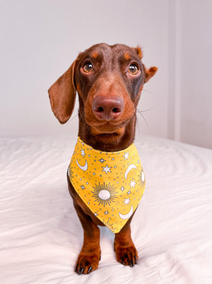 Golden Hour - Bandana para perros Esencial