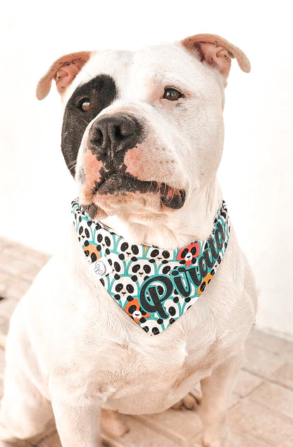 Bandana Panda - Talla XS