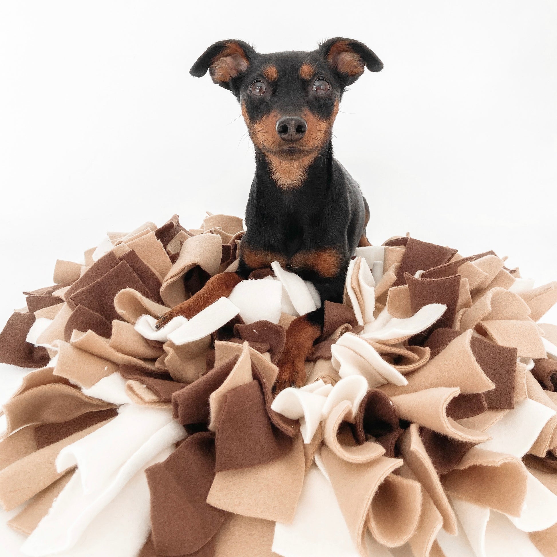 Woof Love Juego estimulador para perros Manta olfativa